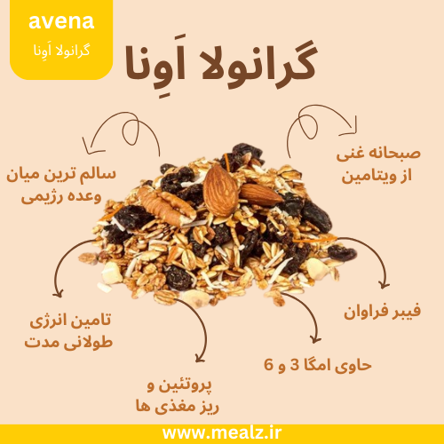 گرانولا برای کودکان: چطور عادت صبحانه سالم را در کودکان ایجاد کنیم؟ 2 صبحانه سالم گرانولا در تهران بهترین گرانولا