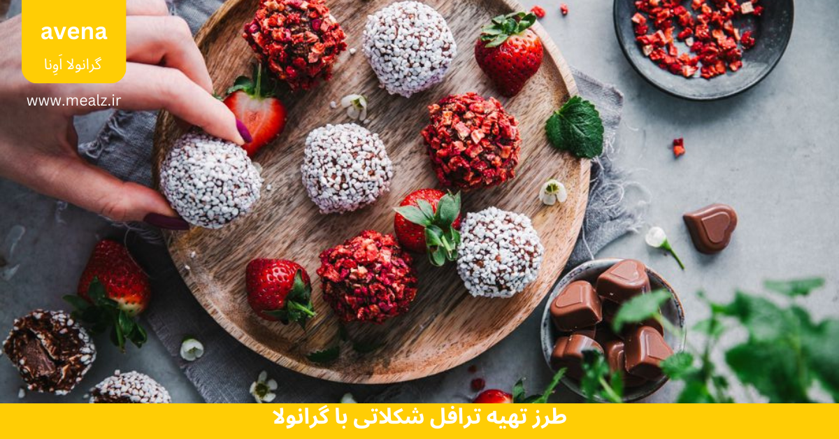 5 دستور تهیه گرانولا برای افزایش وزن و چاقی متناسب 4 طرز تهیه ترافل شکلاتی با گرانولا برای افزایش وزن و چاقی