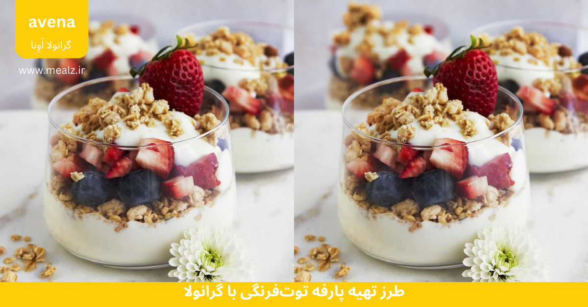 5 دستور تهیه گرانولا برای افزایش وزن و چاقی متناسب 5 طرز تهیه پارفه توت فرنگی با گرانولا برای چاقی