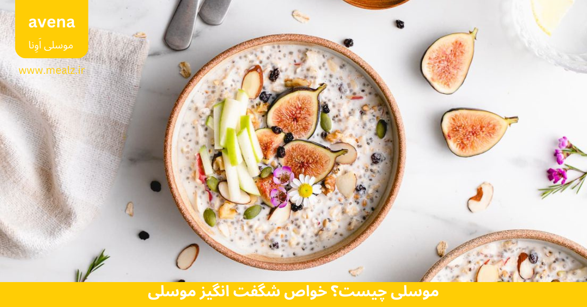 موسلی چیست؟ خواص شگفت انگیز موسلی 4 موسلی چیست خواص موسلی و جو دوسر پرک
