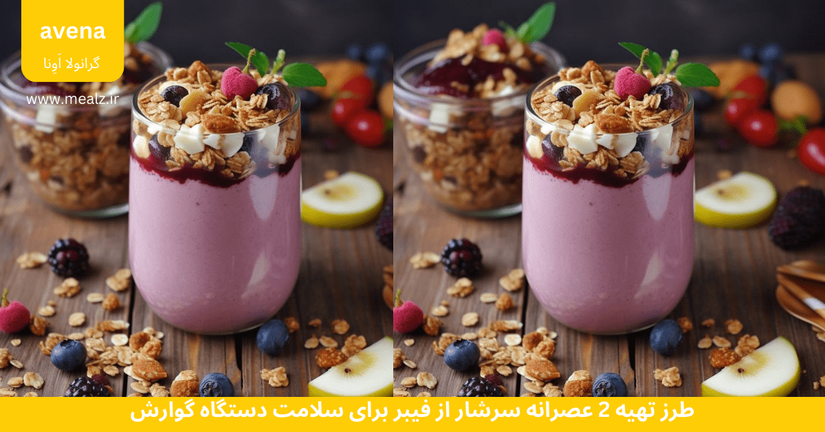 طرز تهیه 5 میان وعده فیبردار برای عصرانه؛ کمک به سلامت دستگاه گوارش 6 اسموتی گرانولا حاوی فیبر بالا