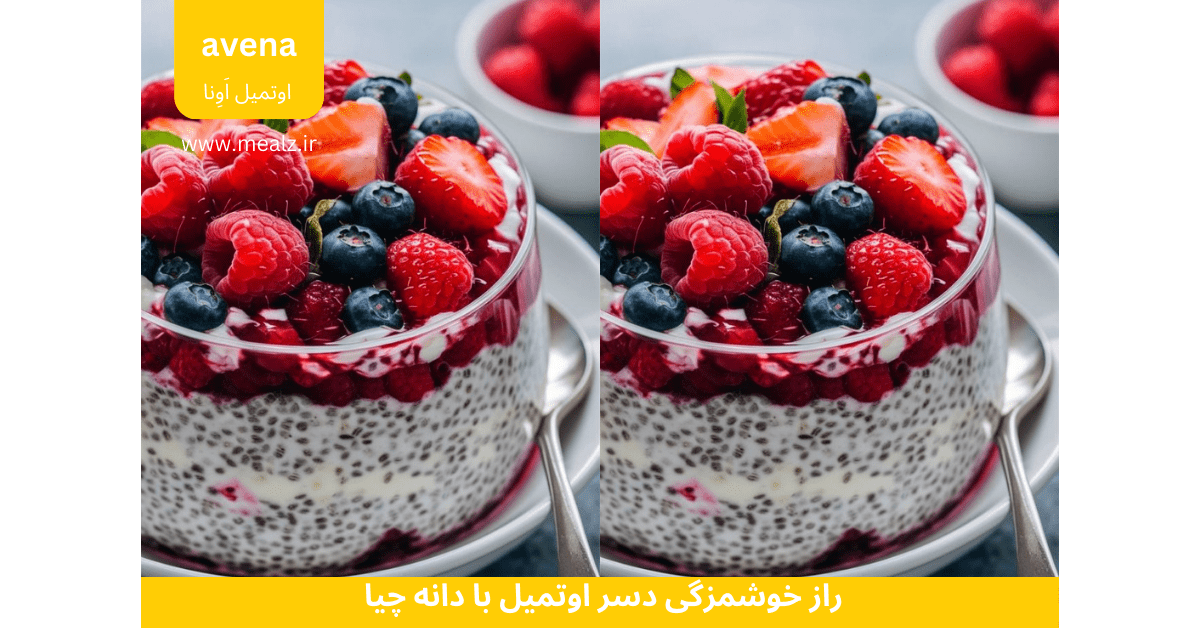 راز خوشمزگی دسر اوتمیل با دانه چیا که همه عاشقش میشوند! 2 دستور تهیه دسر اوتمیل با دانه چیا