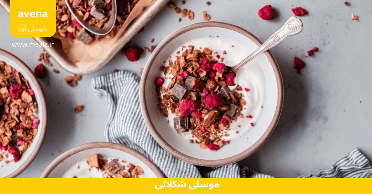 4 دستور تهیه موسلی صبحانه 3 دستور تهیه موسلی شکلاتی صبحانه