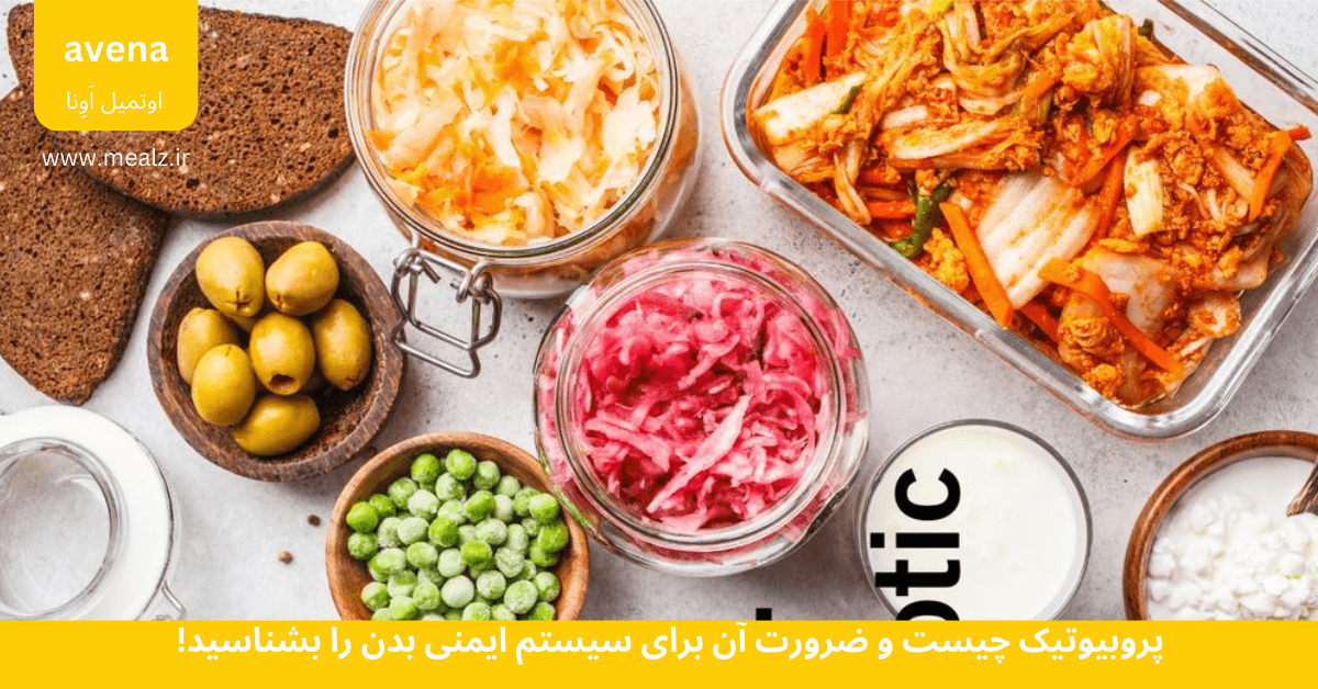 پروبیوتیک چیست؟ راز تقویت سیستم ایمنی و روده سالم در چند دقیقه 4 پروبیوتیک چیست و چه تاثیری بر سیستم ایمنی بدن دارد؟