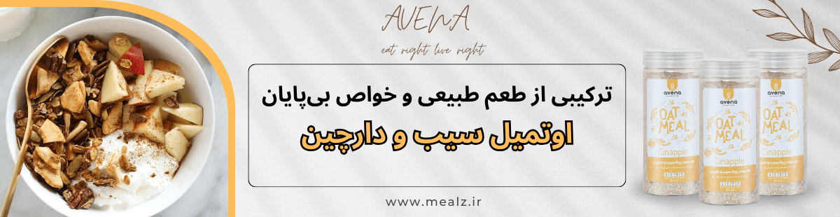 اوتمیل سیب و دارچین 1 خرید اوتمیل سیب و دارچین اونا