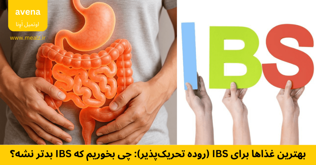بهترین غذاها برای روده تحریک پذیر IBS غذای ضد نفخ