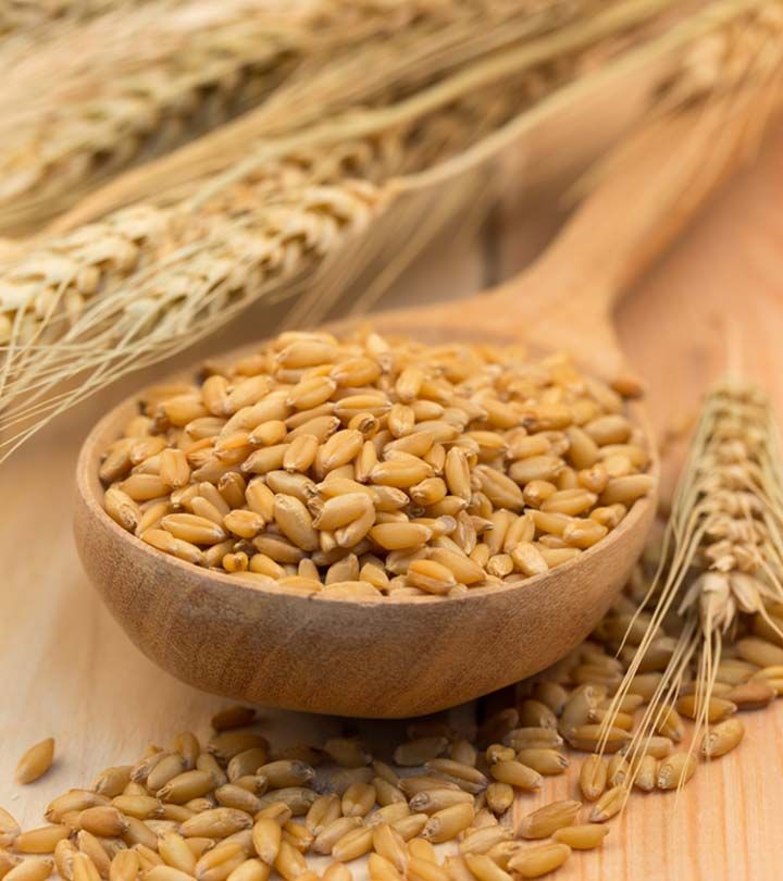 جو دوسر چیست؟ معرفی کامل انواع جو، خواص و روش مصرف 6 تفاوت جو و جو دوسر عکس جو عکس جو دوسر