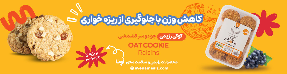 کوکی رژیمی چیست؟ فواید مصرف کوکی جو دوسر 5 1